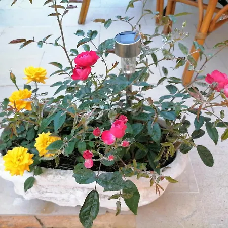 Apartamento Flower Garden *