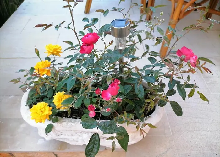 Διαμέρισμα Flower Garden *